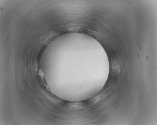 X0000070400567200606302014