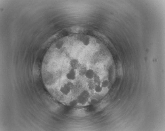 X0000070400569200606302014