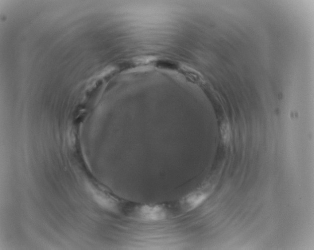 X0000070400570200606302014