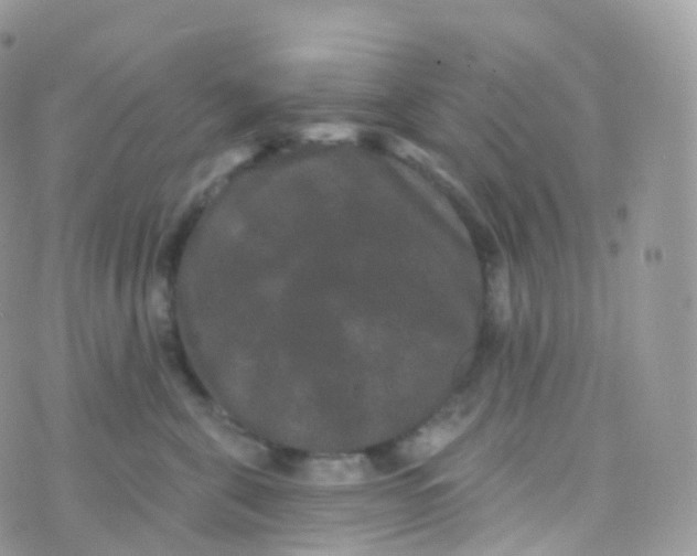 X0000070400571200606302014