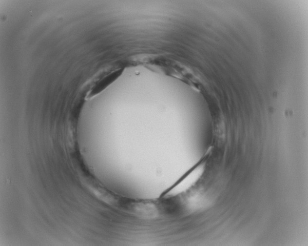 X0000070400572200606302014