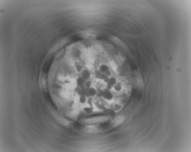 X0000070400573200606302014