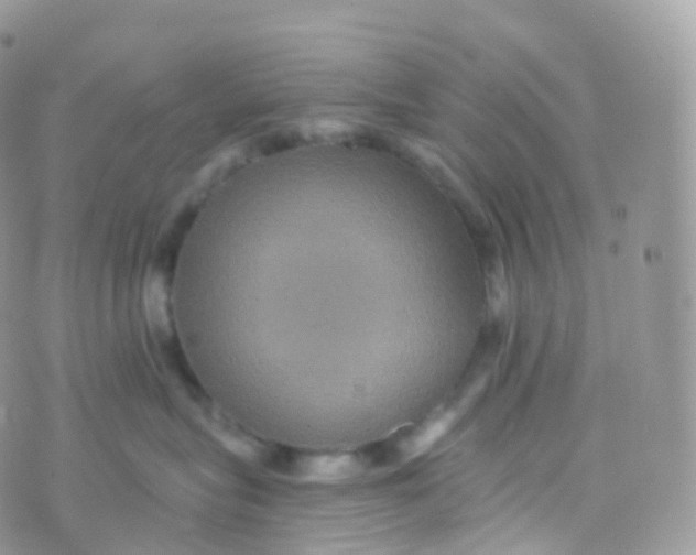 X0000070400575200606302014