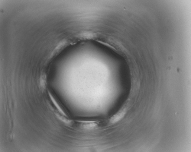 X0000070400576200606302014