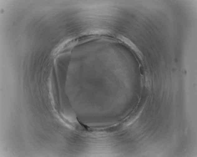 X0000070400577200606302013