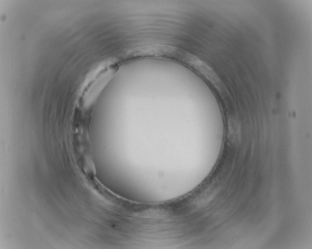 X0000070400578200606302013