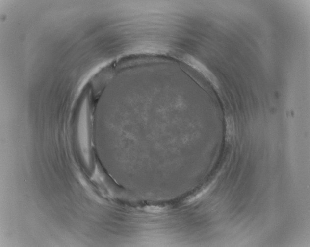 X0000070400580200606302013