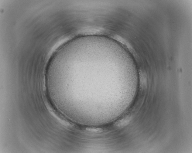 X0000070400582200606302013