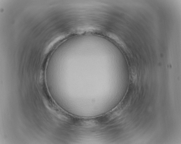 X0000070400583200606302013