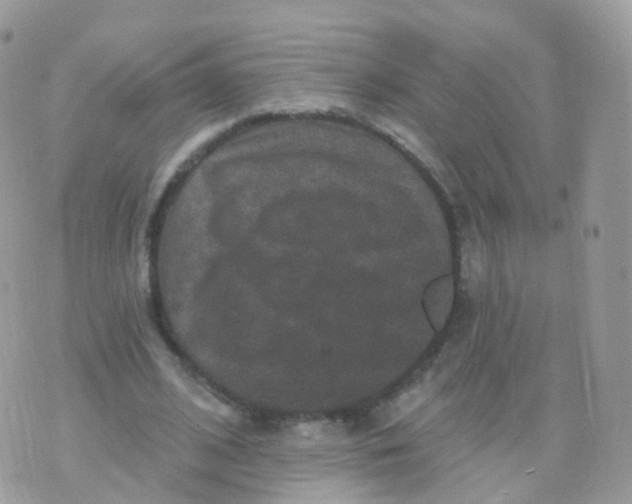 X0000070400584200606302013