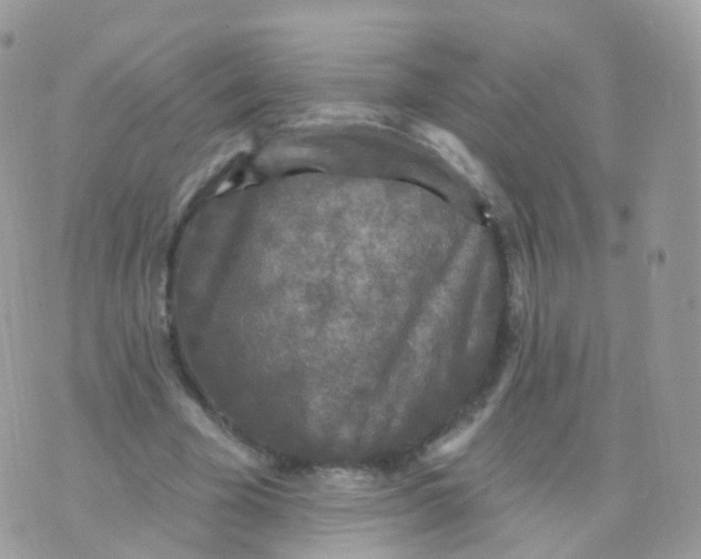 X0000070400585200606302013