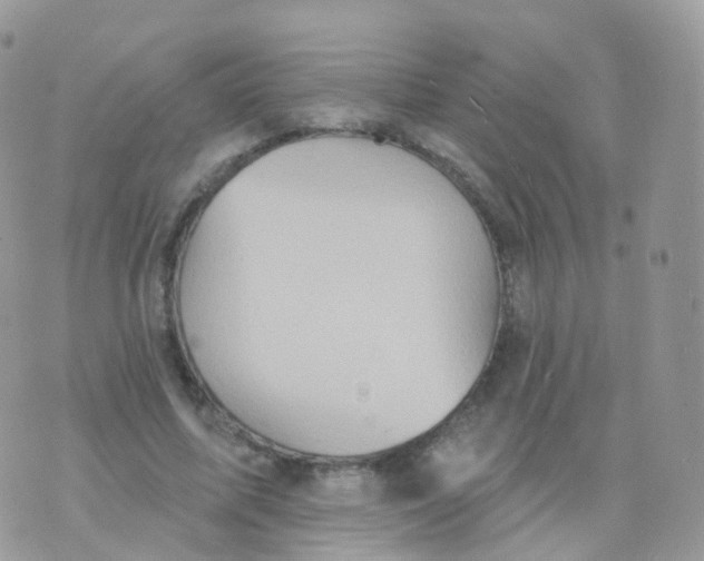 X0000070400587200606302013