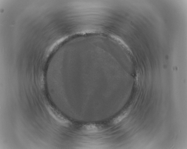 X0000070400588200606302013