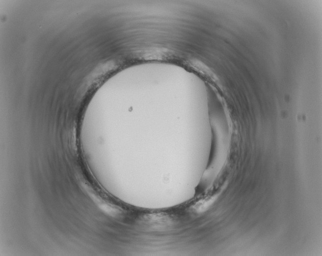 X0000070400589200606302013