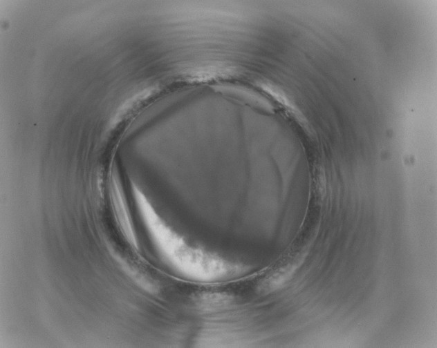 X0000070400590200606302013