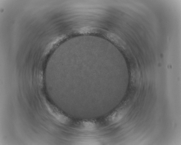 X0000070400592200606302013