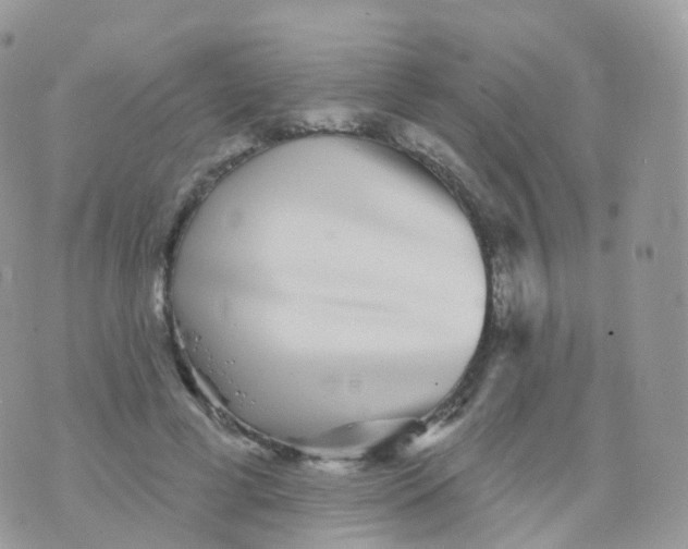 X0000070400593200606302013