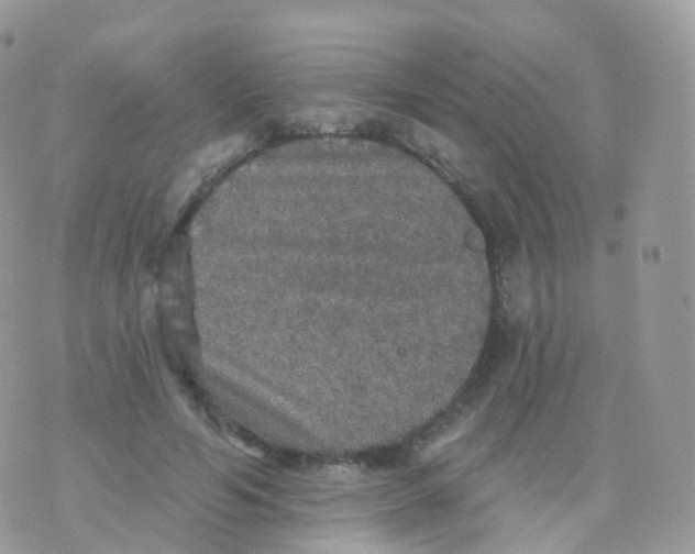 X0000070400594200606302013