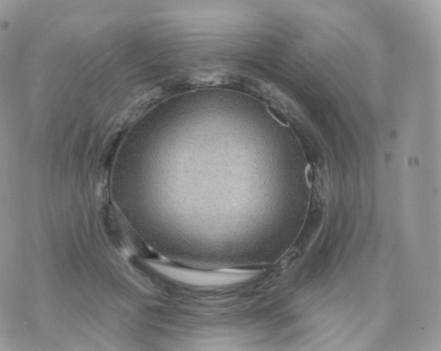 X0000070400601200606302013