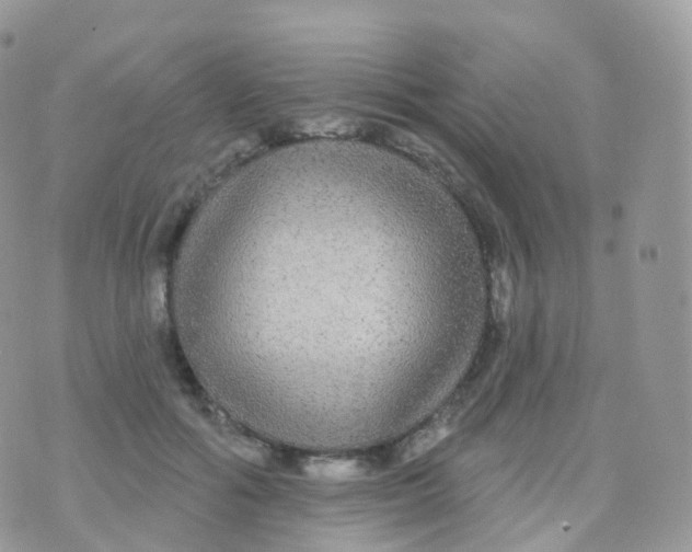 X0000070400602200606302013