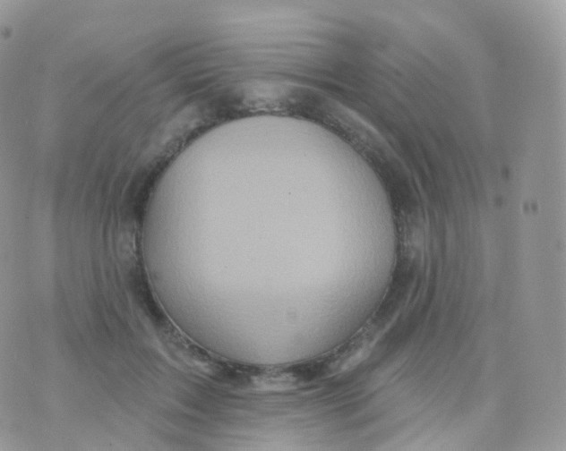 X0000070400603200606302013