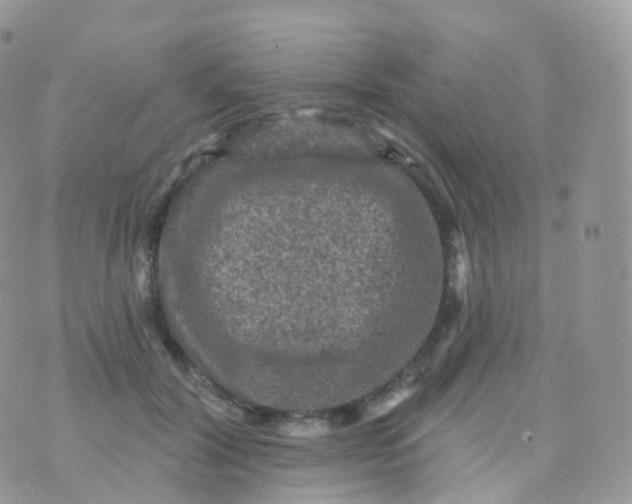 X0000070400604200606302013