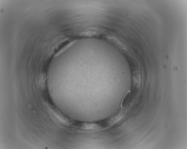 X0000070400605200606302013