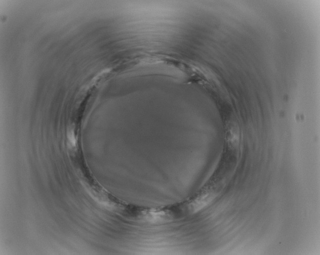 X0000070400607200606302013