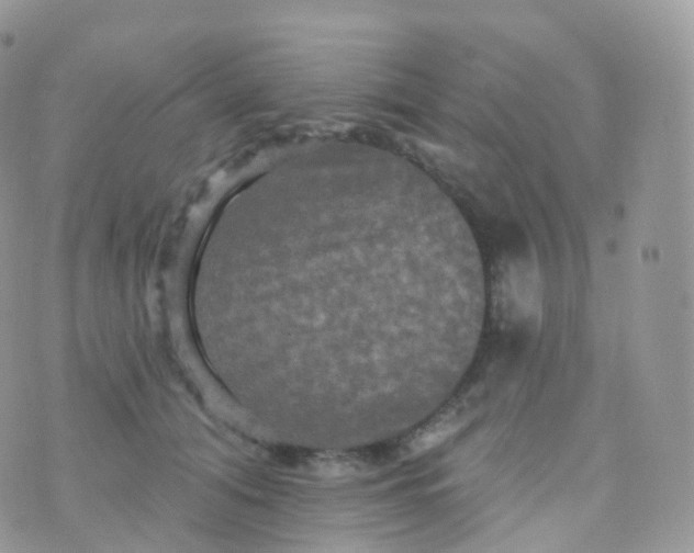 X0000070400608200606302013