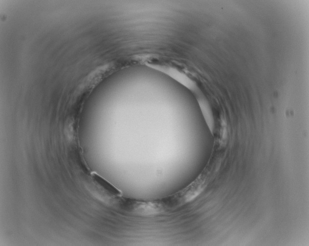 X0000070400611200606302013