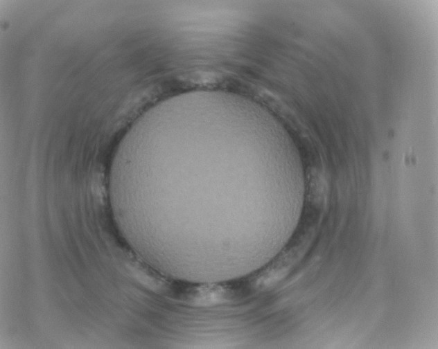 X0000070400612200606302013