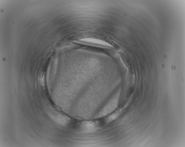 X0000070400613200606302013