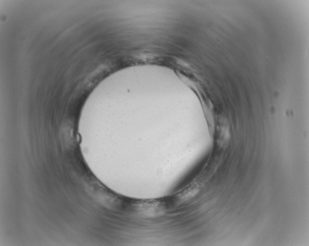 X0000070400615200606302013