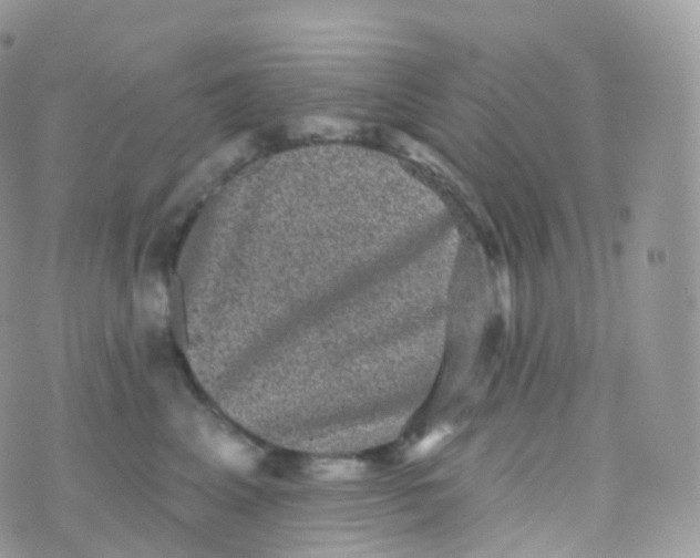 X0000070400617200606302013