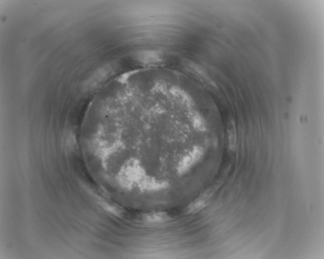 X0000070400618200606302013