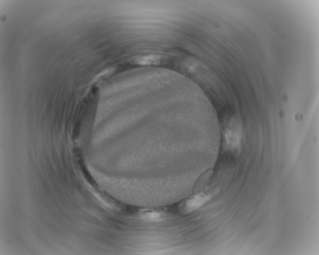 X0000070400620200606302013