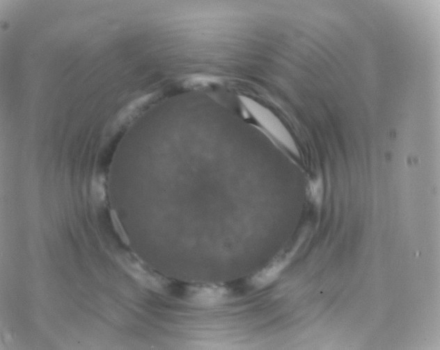 X0000070400621200606302013