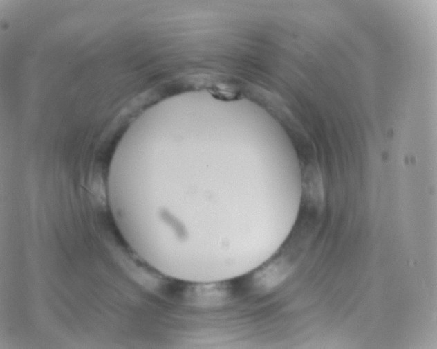 X0000070400622200606302013