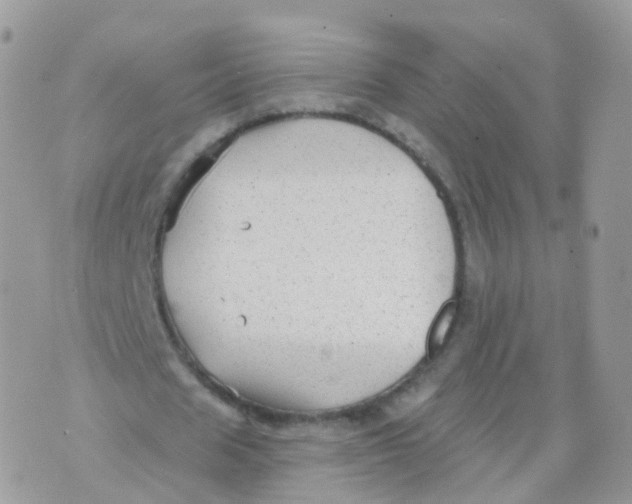 X0000070400625200606302012