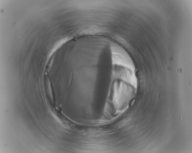 X0000070400626200606302012