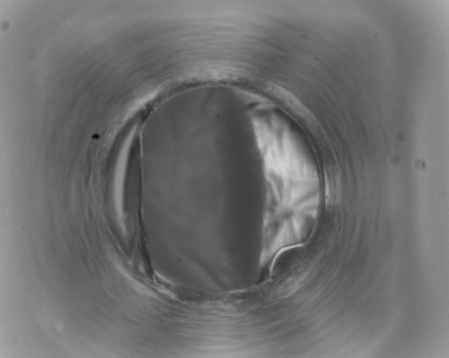 X0000070400627200606302012