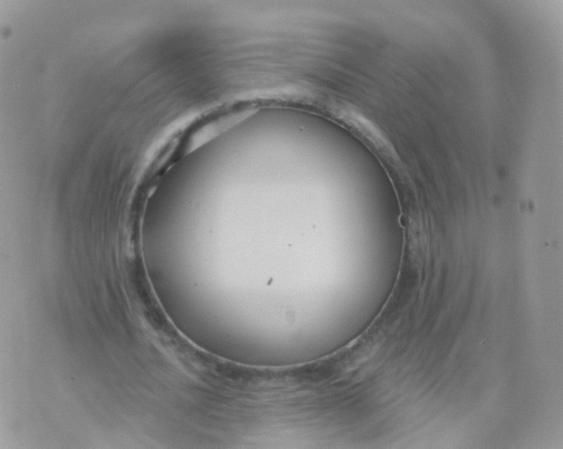 X0000070400628200606302012