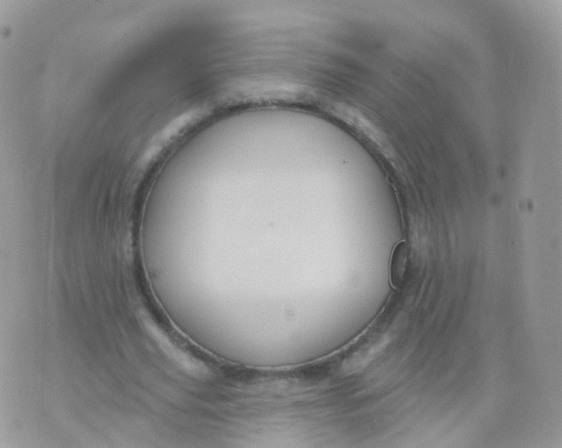 X0000070400629200606302012