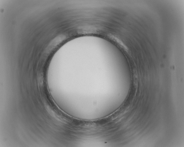 X0000070400631200606302012