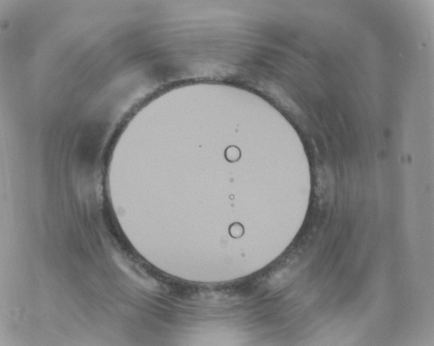 X0000070400632200606302012