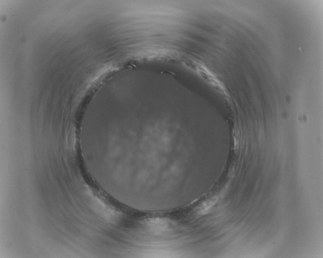 X0000070400637200606302012