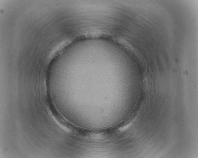 X0000070400638200606302012