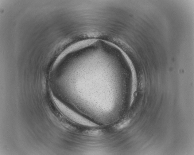 X0000070400639200606302012