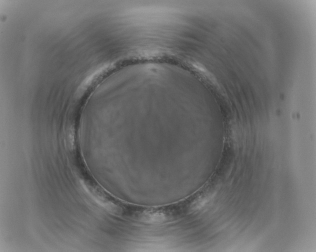 X0000070400640200606302012