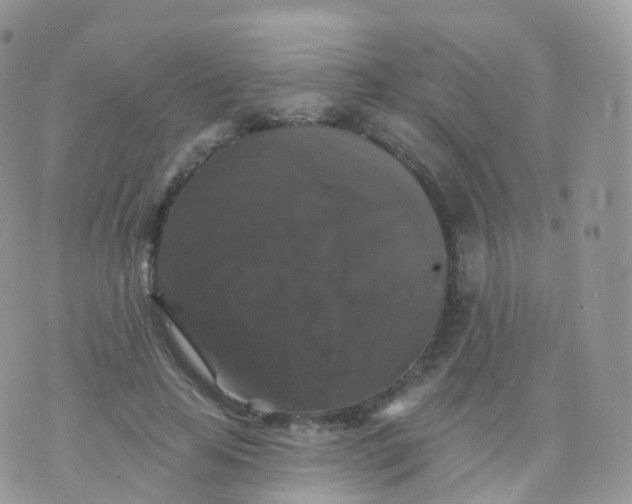 X0000070400641200606302012